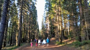 yosemite half marathon race start