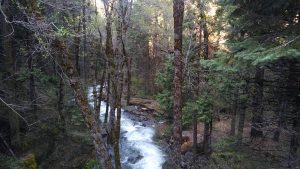 yosemite half marathon running views