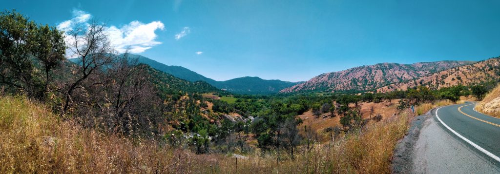 sequoia national forest view