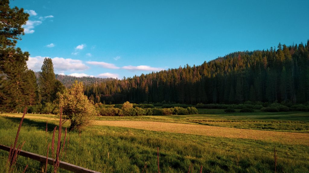 yosemite national park