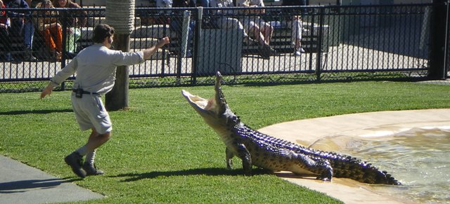 Studying abroad Brisbane zoo