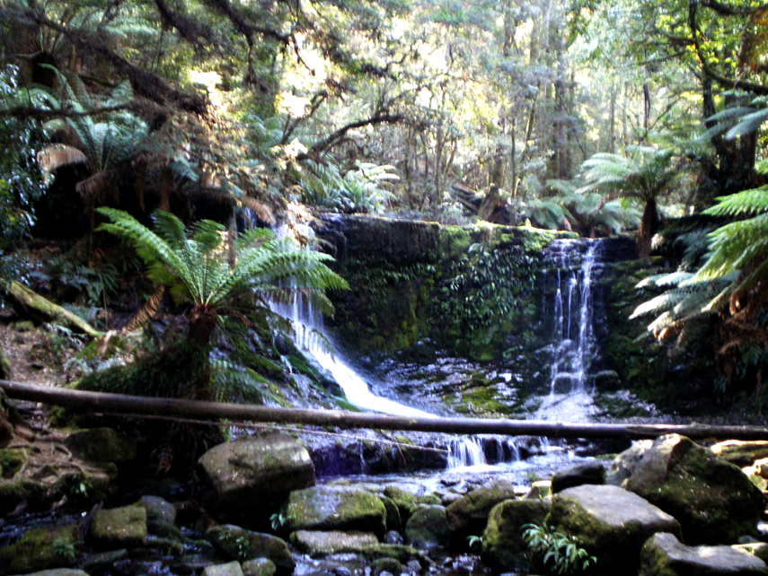 Studying abroad Russell falls 