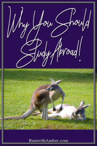 Study Abroad