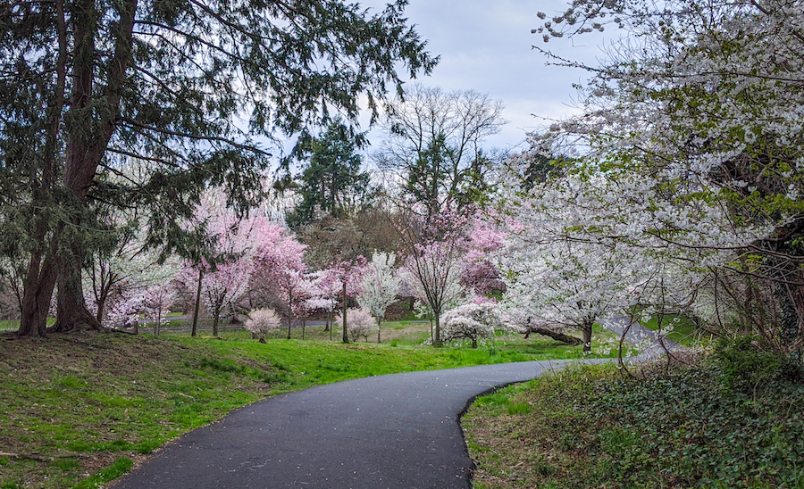 social distancing park