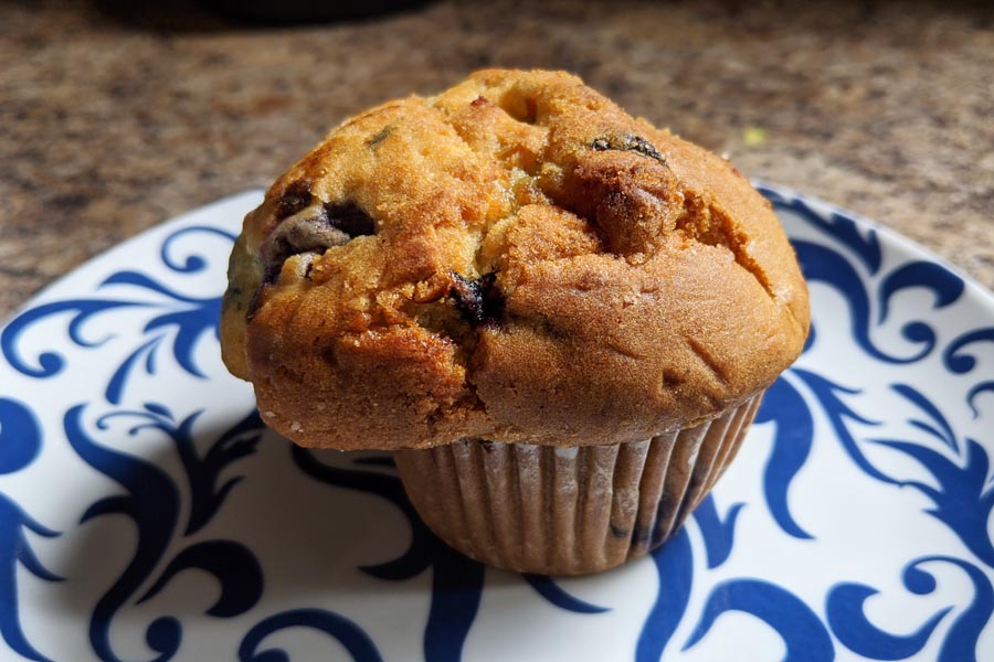 Senza Gluten blueberry Muffin