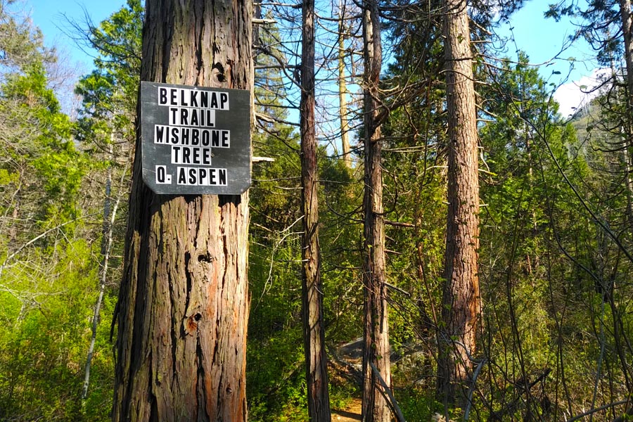 Belknap Campground