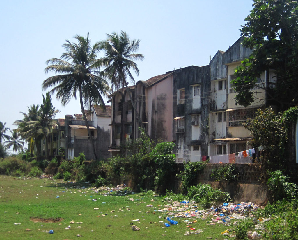 goa india garbage run with amber